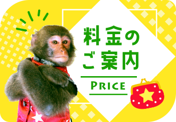 料金のご案内